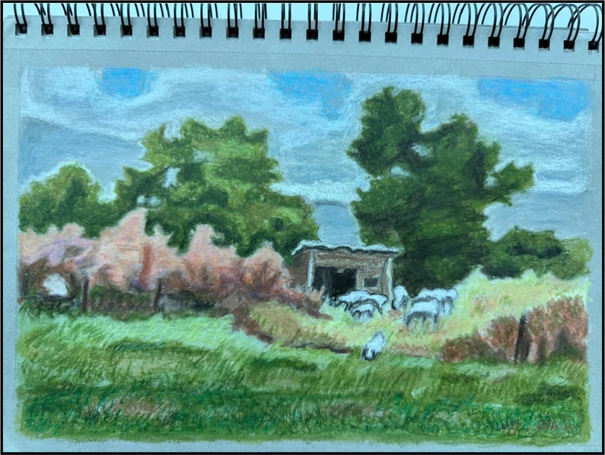 Pastoral Landscape — Hut & Sheep