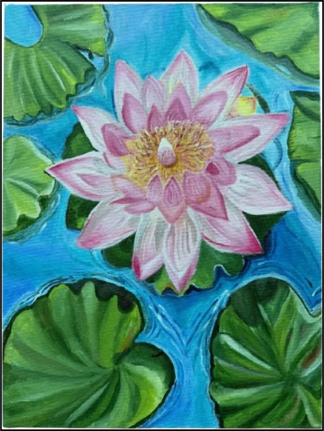 Pink Lotus on Water